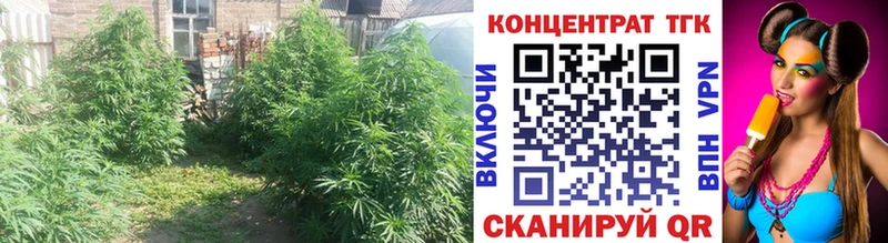 Дистиллят ТГК Wax Буинск